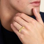 The Alessio Ring